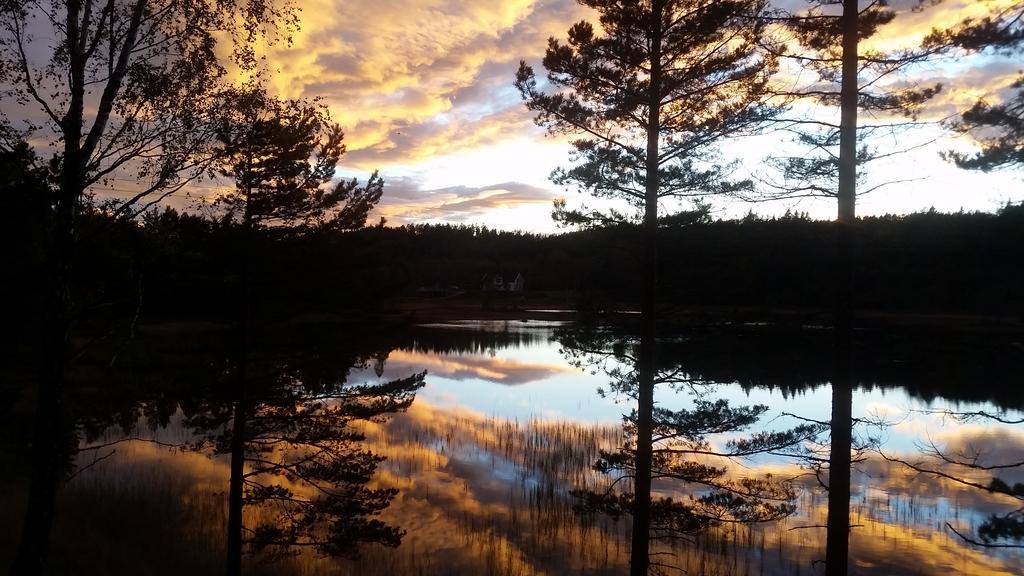 Bjorkeskogen Διαμέρισμα Mjavatn Εξωτερικό φωτογραφία