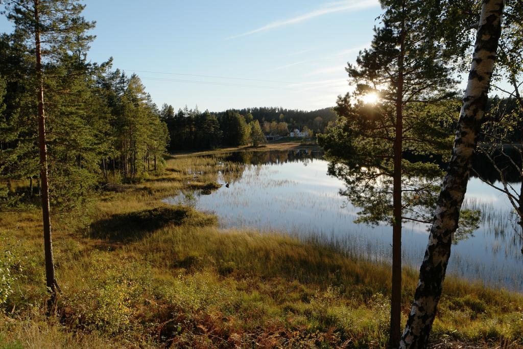 Bjorkeskogen Διαμέρισμα Mjavatn Εξωτερικό φωτογραφία